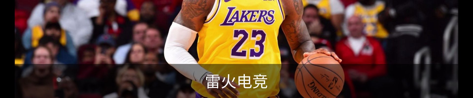 雷火·电竞 - 雷火电竞官网 - Leihuo Esports
